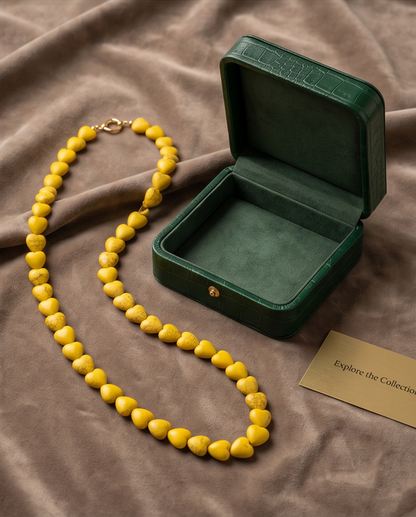 Collar Amarillo Fósil